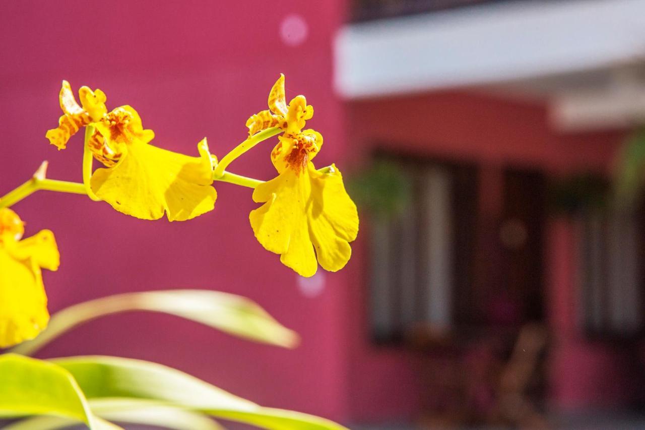 Suites Las Flores Maresias Εξωτερικό φωτογραφία